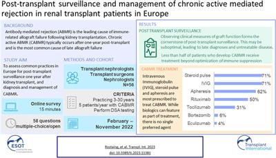 Post-Transplant Surveillance and Management of Chronic Active Antibody-Mediated Rejection in Renal Transplant Patients in Europe